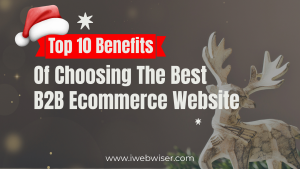 Top 10 Benefits of The Best B2B Ecommerce Platform India.