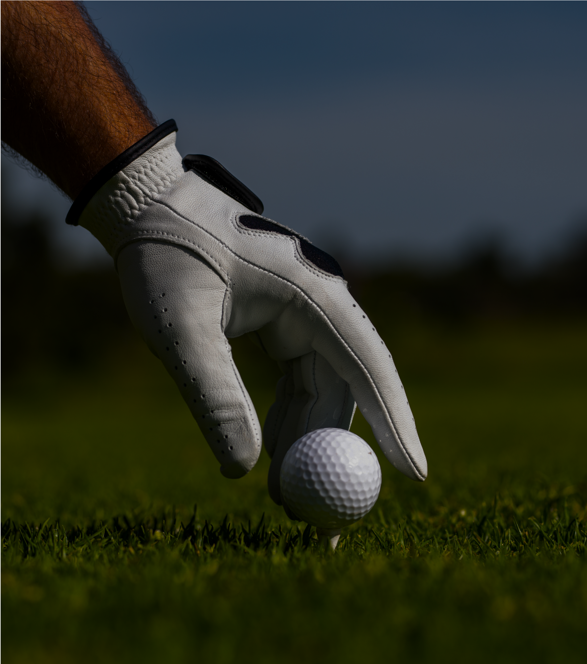 GolfPlayed